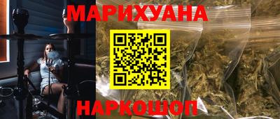 шишки Гай