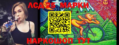 шишки Гай