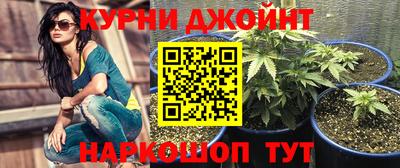 a pvp Пушкино