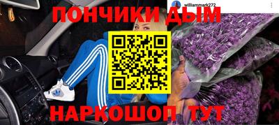 шишки Гай