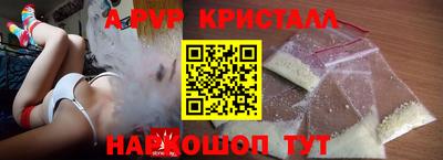 шишки Гай