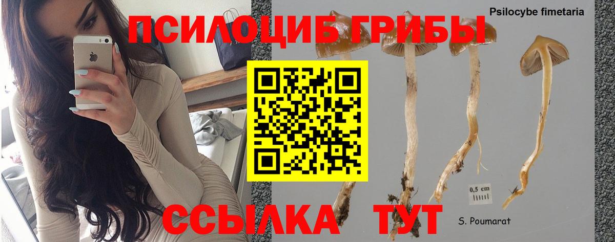 Петропавловск-Камчатский  дарнет шоп  Вход с VPN  Галлюциногенные грибы мицелий 