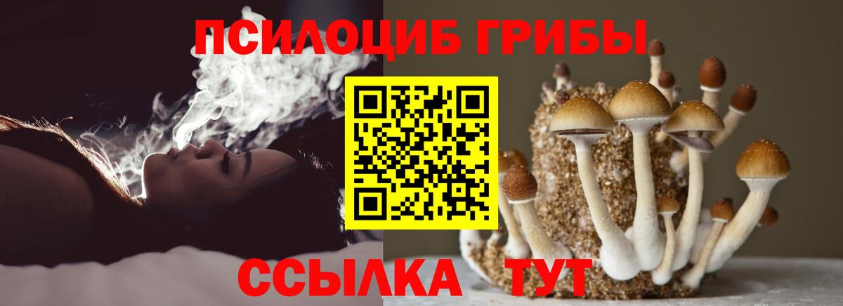 Галлюциногенные грибы MAGIC MUSHROOMS Петропавловск-Камчатский